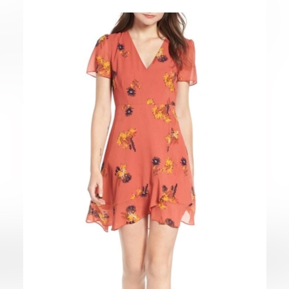 NWT MADEWELL Posy Cactus Flower Dress In Spiced Rose size 6
